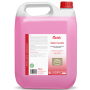 Sani Clean 5L - Preparat do czyszczenia sanitariatów - 2